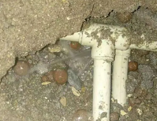 鄂托克前卫生间测漏