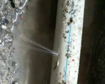 鄂托克前卫生间测漏水多少钱