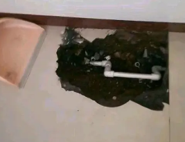 鄂托克前卫生间测漏水多少钱